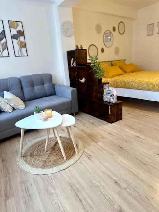 Appartement Neuf Entierement Equipe Proche Centre アミアン エクステリア 写真