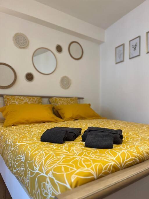Appartement Neuf Entierement Equipe Proche Centre アミアン エクステリア 写真