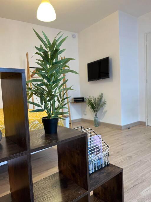 Appartement Neuf Entierement Equipe Proche Centre アミアン エクステリア 写真