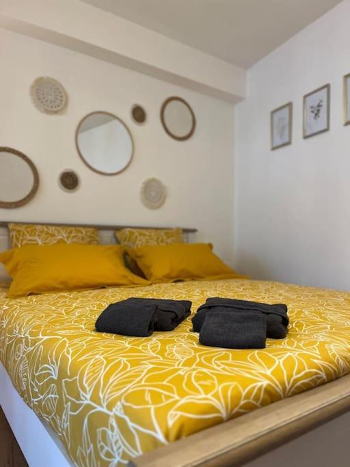 Appartement Neuf Entierement Equipe Proche Centre アミアン エクステリア 写真
